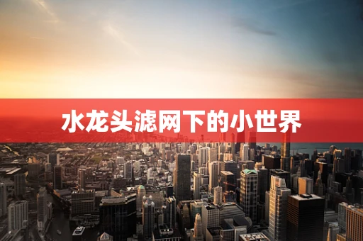 水龙头滤网下的小世界