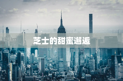 芝士的甜蜜邂逅