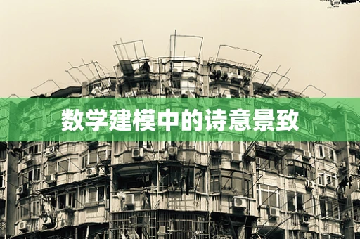 数学建模中的诗意景致