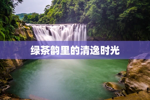 绿茶韵里的清逸时光