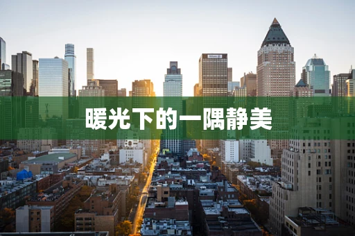 暖光下的一隅静美