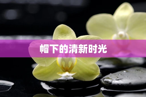 帽下的清新时光