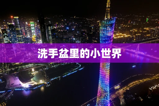 洗手盆里的小世界