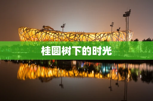 桂圆树下的时光