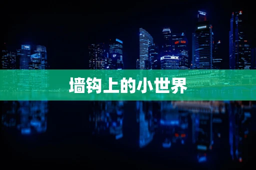 墙钩上的小世界