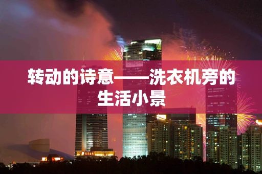转动的诗意——洗衣机旁的生活小景