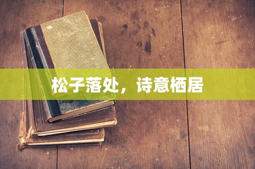 松子落处，诗意栖居