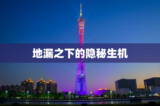 地漏之下的隐秘生机