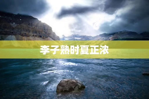 李子熟时夏正浓