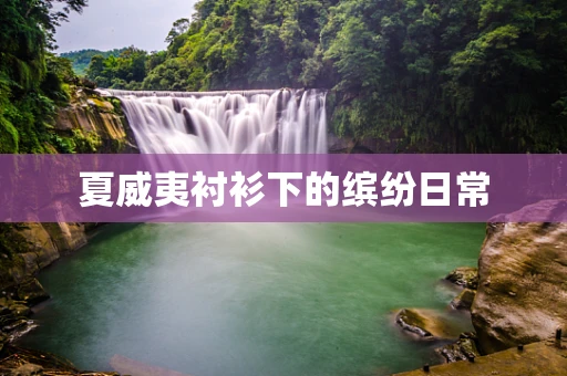夏威夷衬衫下的缤纷日常
