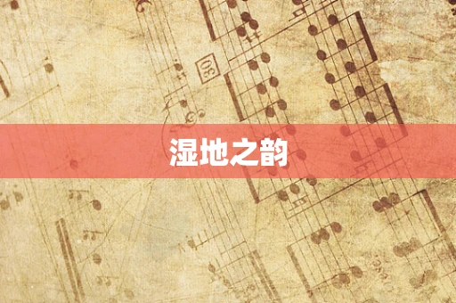 湿地之韵