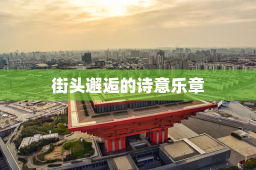 街头邂逅的诗意乐章