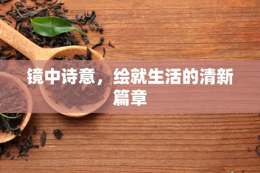 镜中诗意，绘就生活的清新篇章