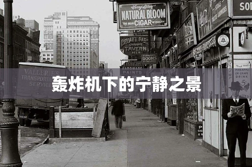 轰炸机下的宁静之景