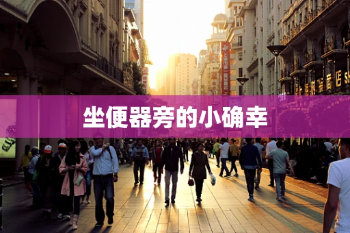 坐便器旁的小确幸