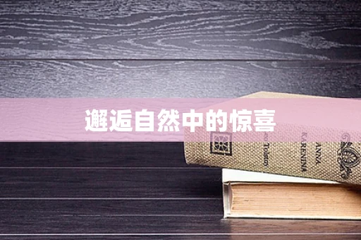 邂逅自然中的惊喜