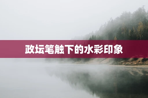 政坛笔触下的水彩印象