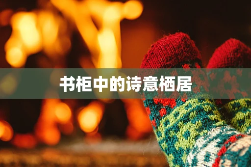 书柜中的诗意栖居