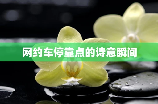 网约车停靠点的诗意瞬间