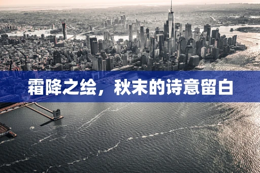 霜降之绘，秋末的诗意留白