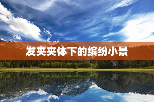 发夹夹体下的缤纷小景