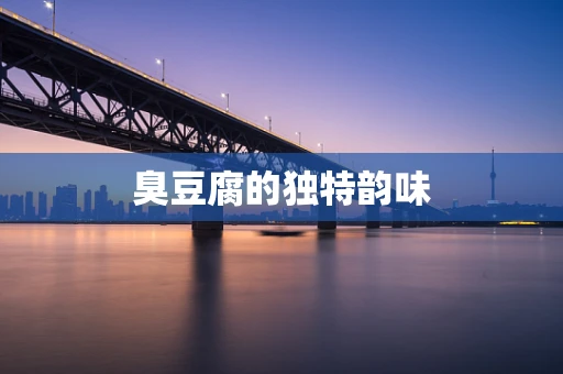 臭豆腐的独特韵味