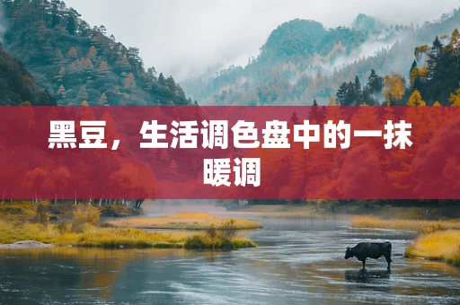 黑豆，生活调色盘中的一抹暖调