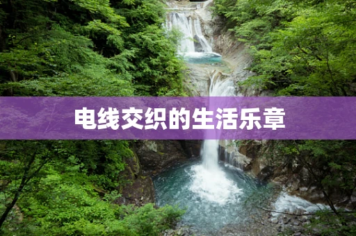 电线交织的生活乐章