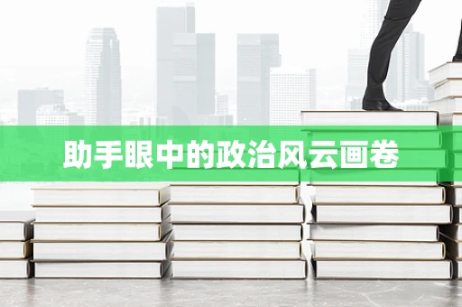 助手眼中的政治风云画卷