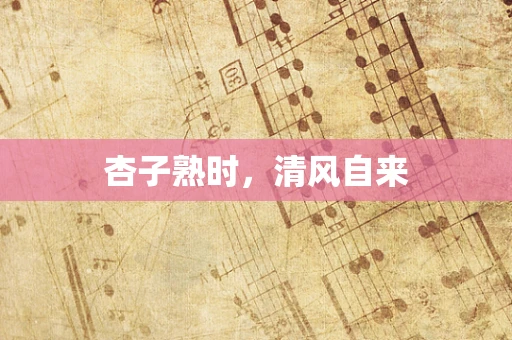 杏子熟时，清风自来