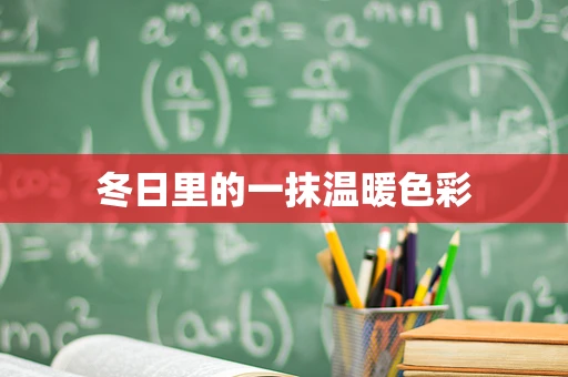 冬日里的一抹温暖色彩