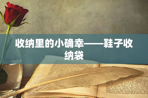 收纳里的小确幸——鞋子收纳袋