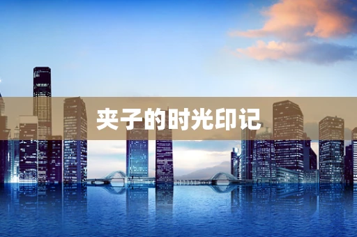 夹子的时光印记