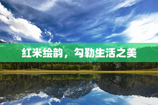 红米绘韵，勾勒生活之美
