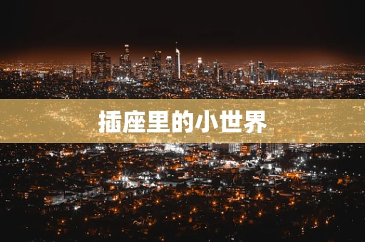 插座里的小世界