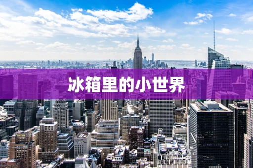 冰箱里的小世界