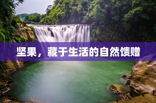 坚果，藏于生活的自然馈赠