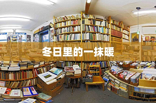 冬日里的一抹暖