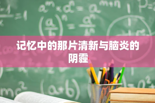 记忆中的那片清新与脑炎的阴霾