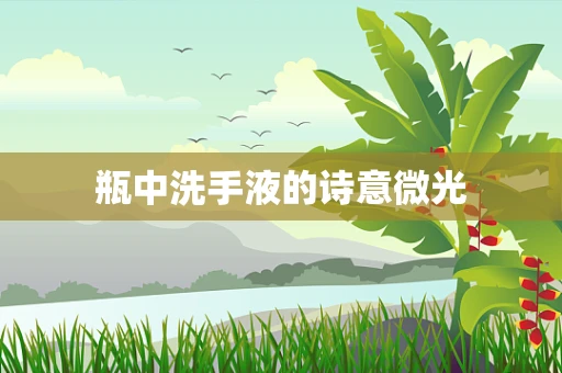 瓶中洗手液的诗意微光