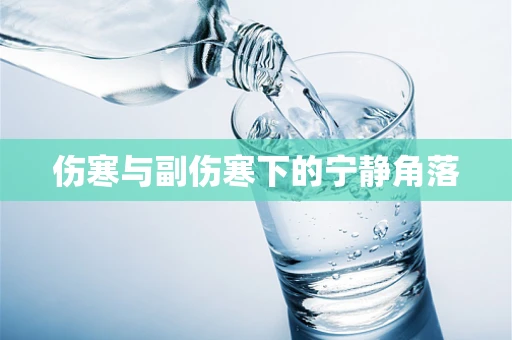 伤寒与副伤寒下的宁静角落