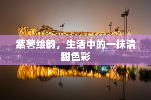 紫薯绘韵，生活中的一抹清甜色彩