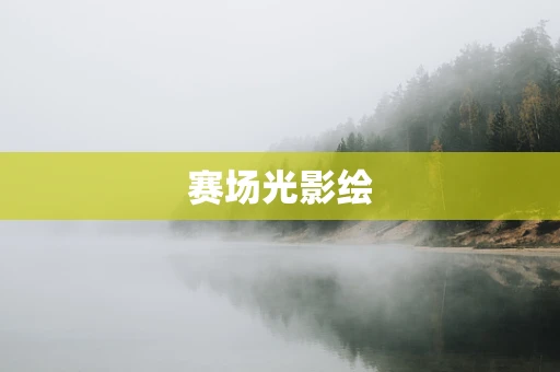 赛场光影绘