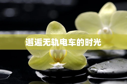 邂逅无轨电车的时光
