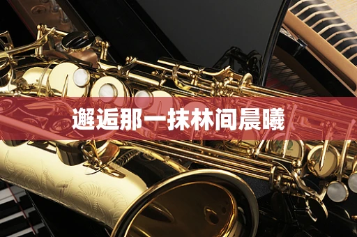 邂逅那一抹林间晨曦