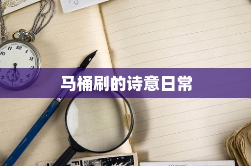 马桶刷的诗意日常