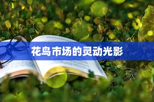 花鸟市场的灵动光影