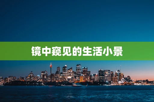 镜中窥见的生活小景